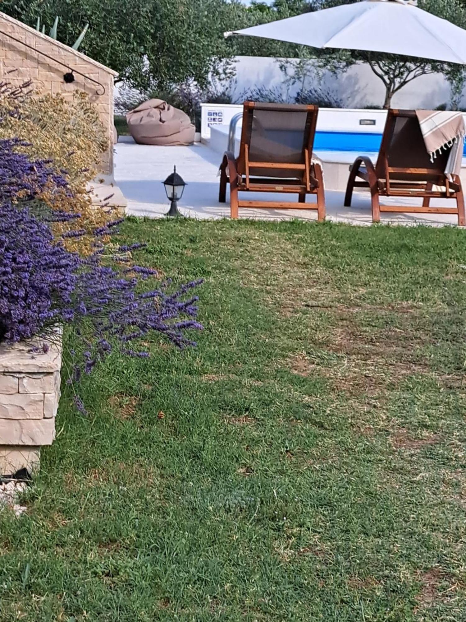 Vila Pan Ζαντάρ Εξωτερικό φωτογραφία